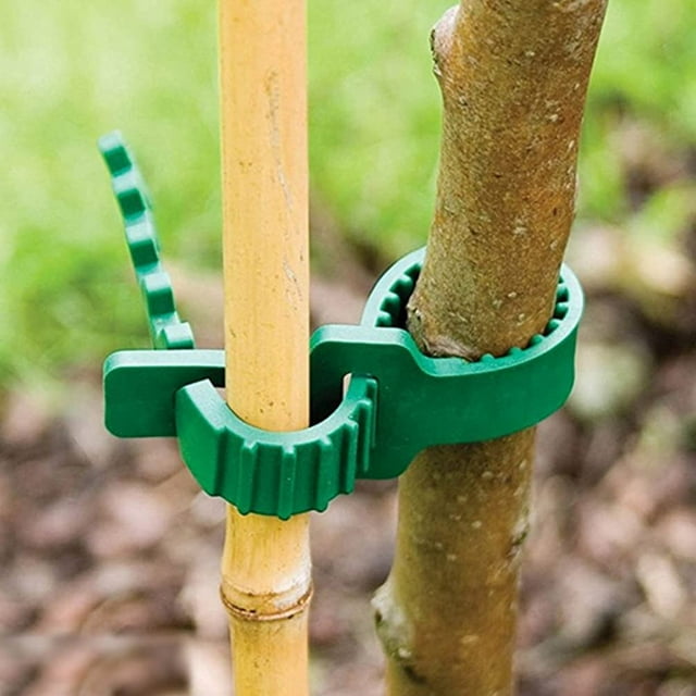 10 Uds. Bandas de soporte para estacas de árboles, conectores de estacas para jardín, correas de soporte para árboles, estacas para árboles y soportes para árboles jóvenes