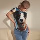thumbnail image 3 of Balery Playful Smile Cute Dog Body de cuello redondo de manga corta para mujer Tops de manga corta Tops básicos-Large, 3 of 7