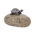 thumbnail image 2 of Ocultador de llaves Zulema Piedra Tortuga decoración de jardín caja de almacenamiento de seguridad, 2 of 8