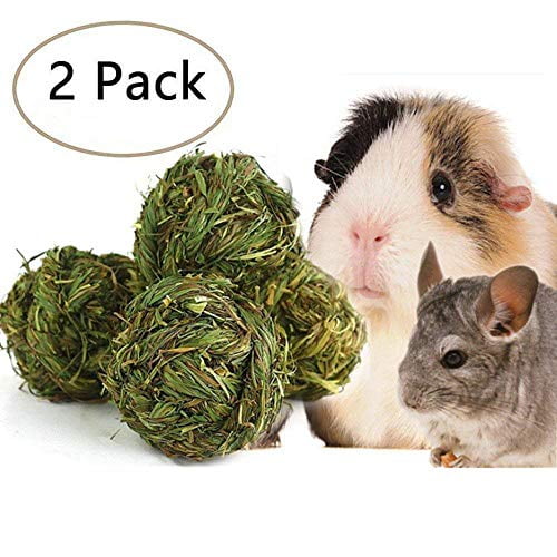 guinea pig toys walmart