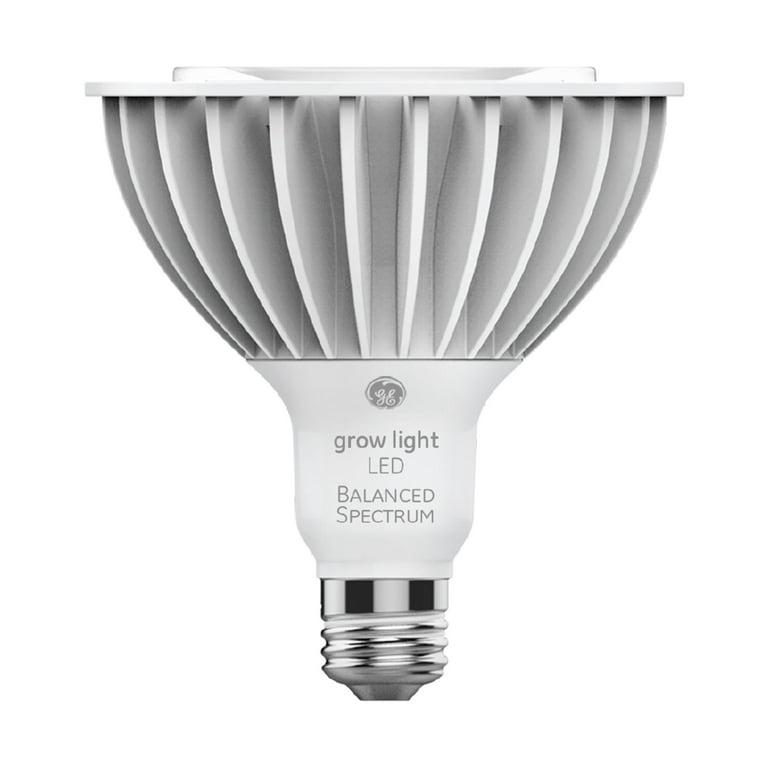 Led flood online light bulbs walmart
