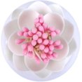 thumbnail image 2 of Soporte para hisopos de algodón Lotus Soporte para hisopos de algodón Soporte para bastoncillos de algodón Elegante regalo de cumpleaños Caja para hisopos de algodón Soporte para p, 2 of 5