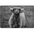 thumbnail image 4 of SKYSONIC Highland Cattle Funny Non-Slip Area Rug, Scottish Cow Animal Floor Carpet Comfort Floor Mats Decor for Indoor Front Porch Living Room Bedroom Kitchen, 36"x24", 4 of 5