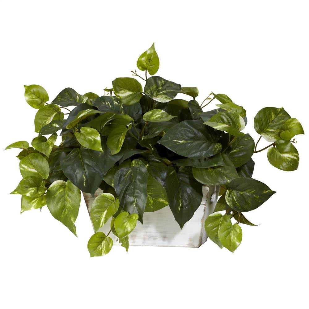 Nearly Natural 14in. Pothos with White Wash Planter Silk Plant, Green
