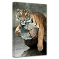 thumbnail image 2 of Dan Holm "On A Limb" Gallery-Wrapped Canvas, 2 of 2