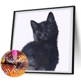 thumbnail image 1 of Cuadros Decorativos 5D DIY Diamond Painting Kits Full Square Drill Black Cat Mosaic Picture Decor Wdftyju embutido en tela, 1 of 8