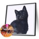 thumbnail image 1 of Cuadros Decorativos 5D DIY Diamond Painting Kits Full Square Drill Black Cat Mosaic Picture Decor Tmvgtek embutido en tela, 1 of 8