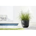 thumbnail image 3 of Ecopots Oslo Durable Modern Round Indoor/Outdoor Recycled Based Composite Flower Pot Planter, Dark Grey, 17.75", 3 of 4