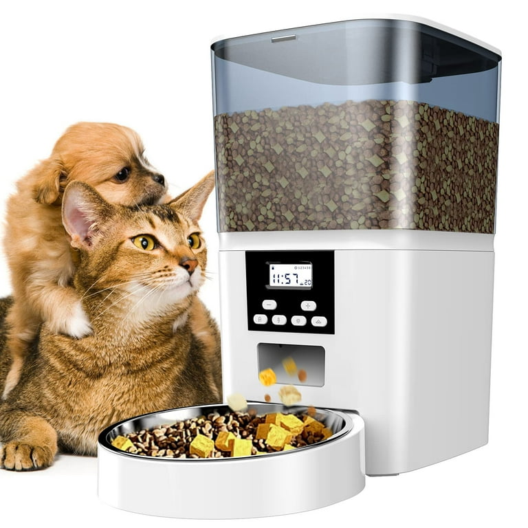 Automatic cat on sale feeder small portions