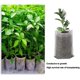 thumbnail image 4 of Bolsas biodegradables para viveros de semillas Apuakthei de 400 piezas, bolsas no tejidas para el cultivo de plantas, macetas de tela para plantas, suministros para el jardín del hogar, 9 x 12, 4 of 7