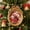 E, variant on Champagne Gold Resin Christmas Photo Frame Ornament, Hanging Picture Frame Pendant for Christmas Tree Holiday Home Window Wall Decor, 3.94x3.15in