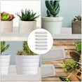thumbnail image 2 of 6pcs Saucer Drip Trays Flower Pot Trays Garden Saucers Planter Tray Pot Saucer Trays for Plants, 2 of 6