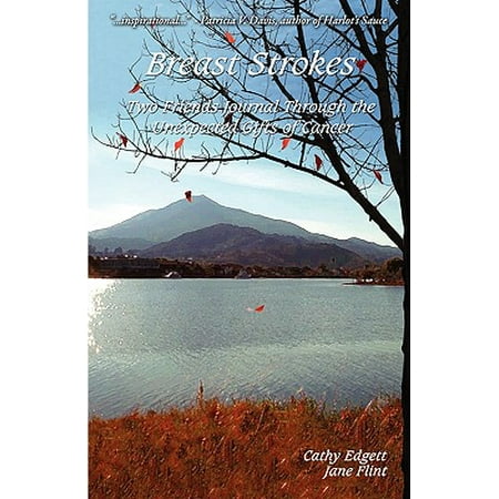 Through Breast - Breast Strokes : Two Friends Journal Through the Unexpected Gifts of Cancer