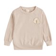 thumbnail image 6 of Toddler Baby Boys Long Sleeve Rainbow Solid Sweatshirt Blouse Tops Trousers Pants Outfit Set 2PCS Clothes, 6 of 8