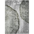 thumbnail image 2 of Addison Rugs Chantille Indoor/Outdoor Transitional Organic Gray Washable Rectangle Rug, 3' x 5', 2 of 6