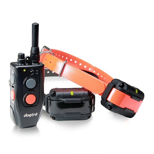 effective flea treatment for cats