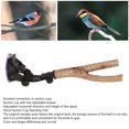 thumbnail image 2 of Bird Branch Perch Stand Training Interactive Prevent Slip Wooden Parrot Perch with Suction Cups for Small Medium Bird 15cm / 5.9in, 2 of 4