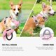 thumbnail image 2 of Arnés para perro rosa Li build Chaleco acolchado sin tensión Talla S, 2 of 5
