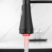 Pull-Down Kitchen Faucet With Dual Function Sprayhead In All-Brite Spot Free Stainless Steel With LED Black