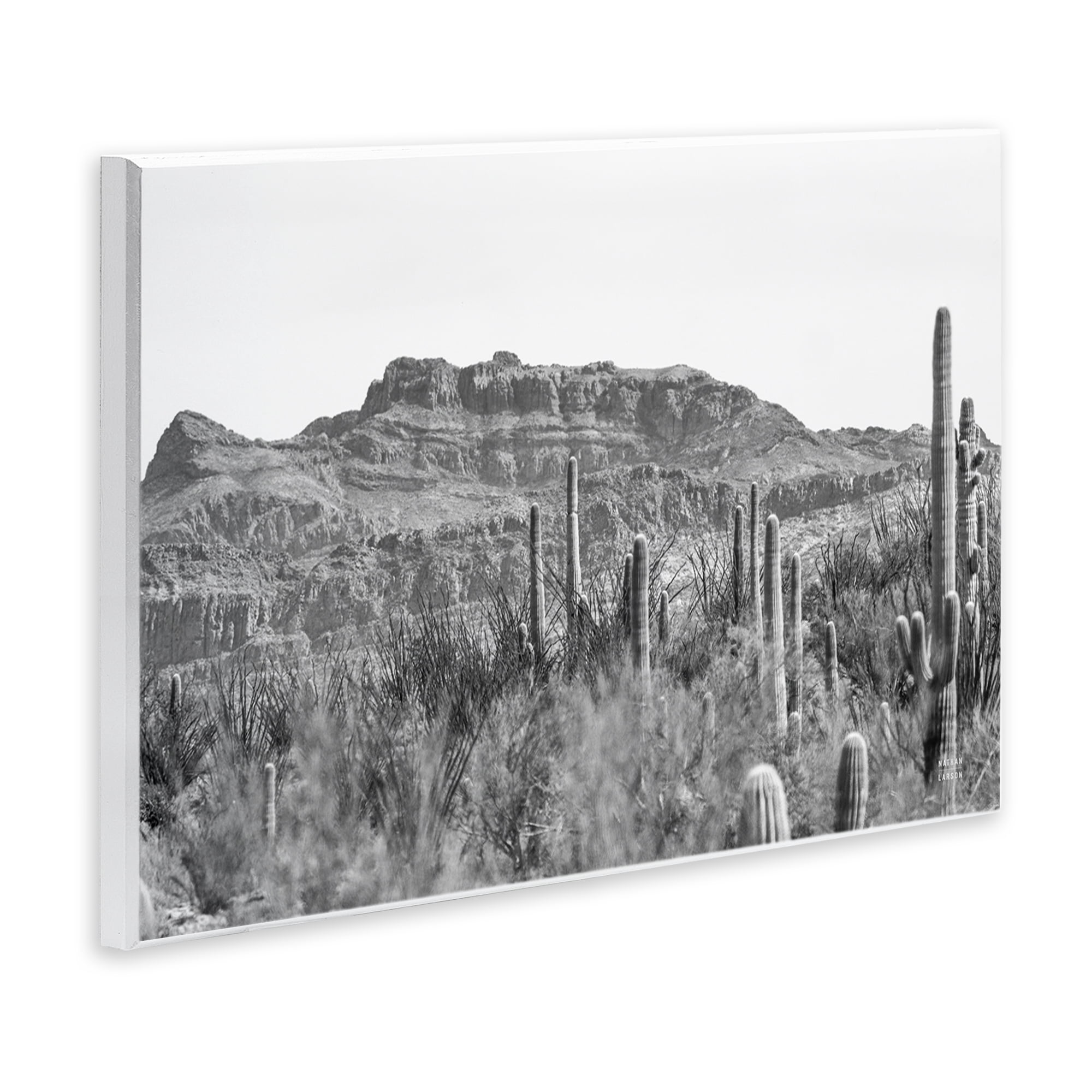 Stupell Industries American Borderlands Desertscape Landscape & Nature Photography Unframed Art Print Wall Art, 19 x 13