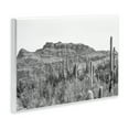 thumbnail image 4 of Stupell Industries American Borderlands Desertscape Landscape & Nature Photography Unframed Art Print Wall Art, 19 x 13, 4 of 8