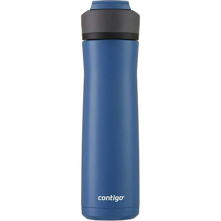 Contigo Ashland Chill 20 oz Silver and Gray Solid Print Stainless Steel  Water Bottle with Straw and Wide Mouth Lid 