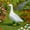 01, variant on Win s Way Classic Porch Goose Statue, 23 Inch Weather Resistant White Garden Figurine with Weighted Base for Yard Patio