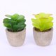 thumbnail image 5 of Gwong Decoración hogareña Flor artificial Suculenta Planta Papel Polp Pot Bonsai Ornament Decoración de jardín Gwong 21041917, 5 of 7