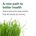 thumbnail image 2 of Vibrant Health, Green Vibrance, Vegan Superfood Powder, 30 Servings, 2 of 9