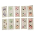 thumbnail image 1 of Ofertas Únicas 10 Pcs Tatuajes Temporales Simples de Halloween para Adultos de Colores Variados, 1 of 5