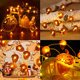 thumbnail image 5 of Cadena de luces LED BOHON Acorn, 40 LED, 3 m, funciona con pilas, 5 of 6