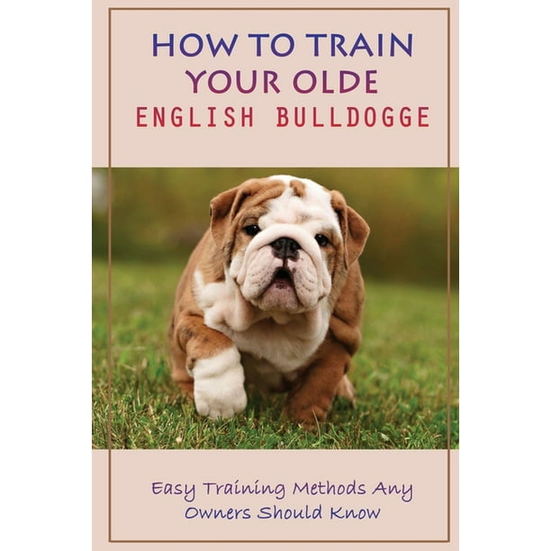 Are Old English Bulldogs Hard To Train are-old-english-bulldogs-hard-to-train