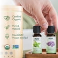 thumbnail image 6 of NOW Essential Oils, Organic Lemon Oil, Cheerful Aromatherapy Scent, Cold Pressed, 100% Pure, Vegan, Child Resistant Cap, 1-Ounce, 6 of 10