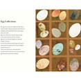 thumbnail image 2 of L'œuf, 2 of 7