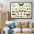 thumbnail image 2 of Designart "Insects and Bugs in Blue and Yellow" Extra Large Animals Framed Wall Art - Modern Blue Insects & Bugs Hallway Framed Wall Art Decor, 2 of 7