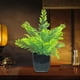 thumbnail image 3 of Maceta de plantas decorativas verdes artificiales, 3 of 6