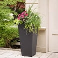View all media