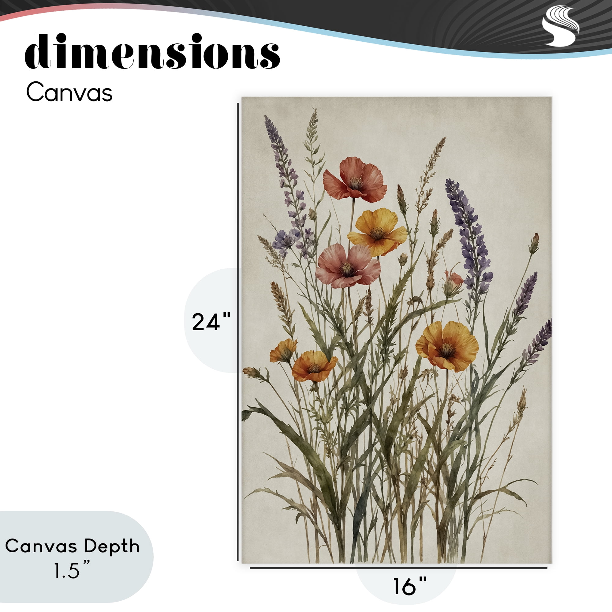 Stupell Industries Vintage Collection of Meadow Botanicals Canvas Wall Art, design by Nataly White