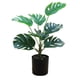 thumbnail image 2 of Luces LED de ramitas - Luz nocturna blanca cálida alimentada por USB • 30 LED • IP44 impermeable • Decoración artificial para plantas de 45-50cm, 2 of 7