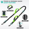thumbnail image 3 of PetAmi Hands Free Dog Leash with Padded Lumbar Waist Belt, Shock Absorbing Bungee, Quick Release Buckle, Dual Handle, Running Jogging Walking Leash for Medium Large Dogs Up to 125 lbs, Purple, 3 of 8