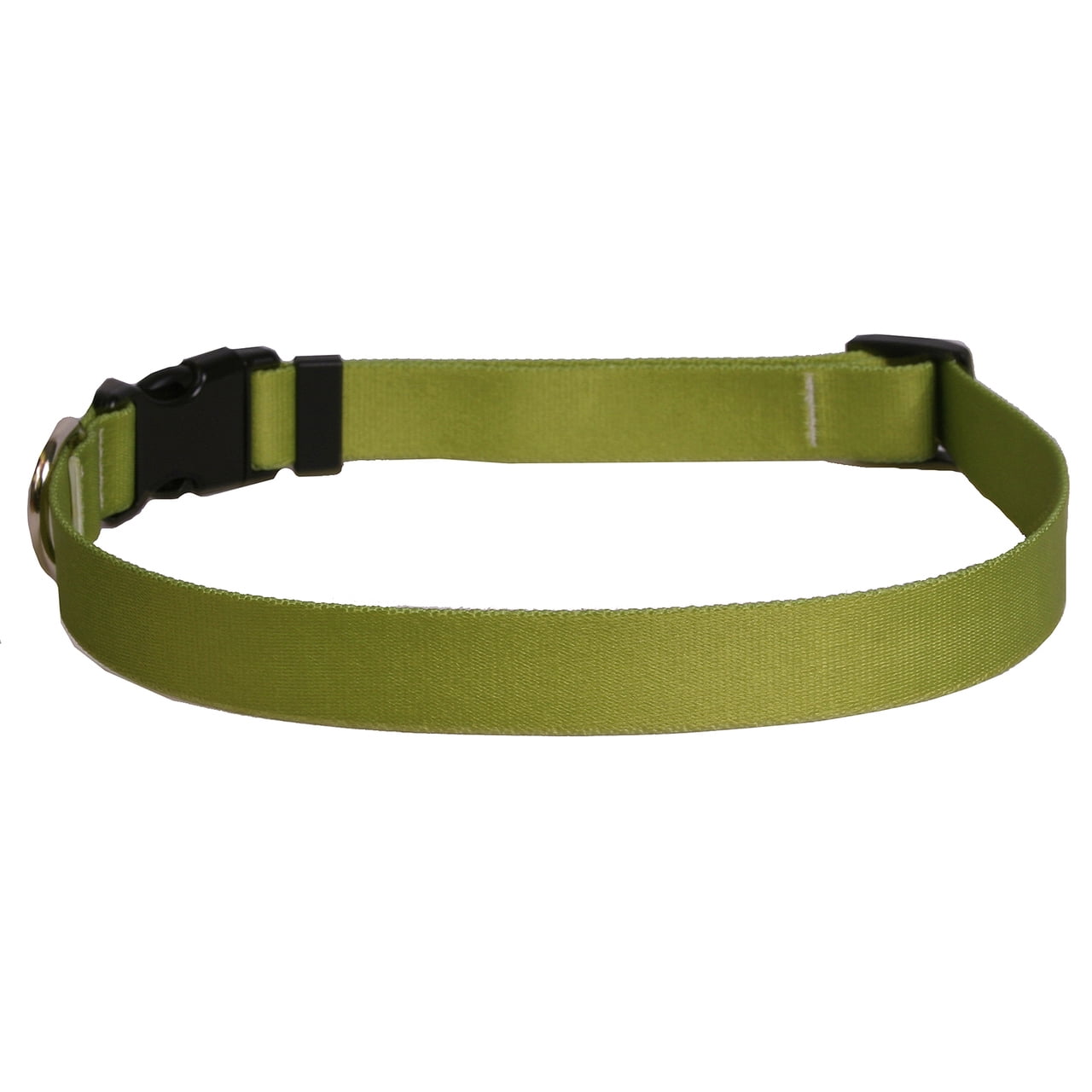 Yellow Dog Design Kelly Green Simple Dog Collar 1" Wide and Fits Necks 18  to 28", Large - Walmart.com