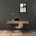 thumbnail image 4 of Nuttall, Thomas 17x24 Black Modern Framed Museum Art Print Titled - California Box Elder, 4 of 5
