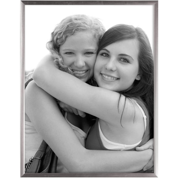 MCS 8x10 Multipurpose Frame - Silver