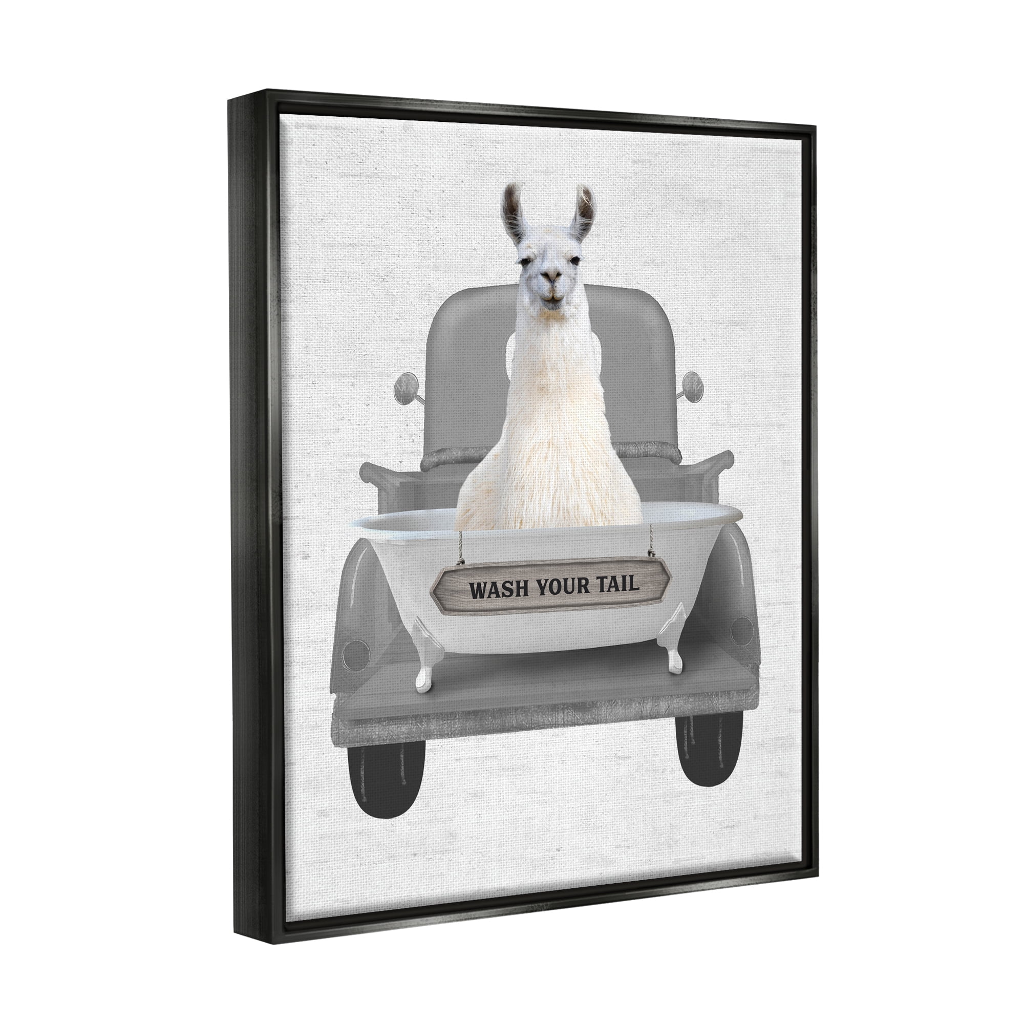 Stupell Industries Wash Your Tail Llama Animals & Insects Painting Black Floater Framed Art Print Wall Art, 25 x 31