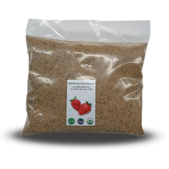 Bulk Flax Seed