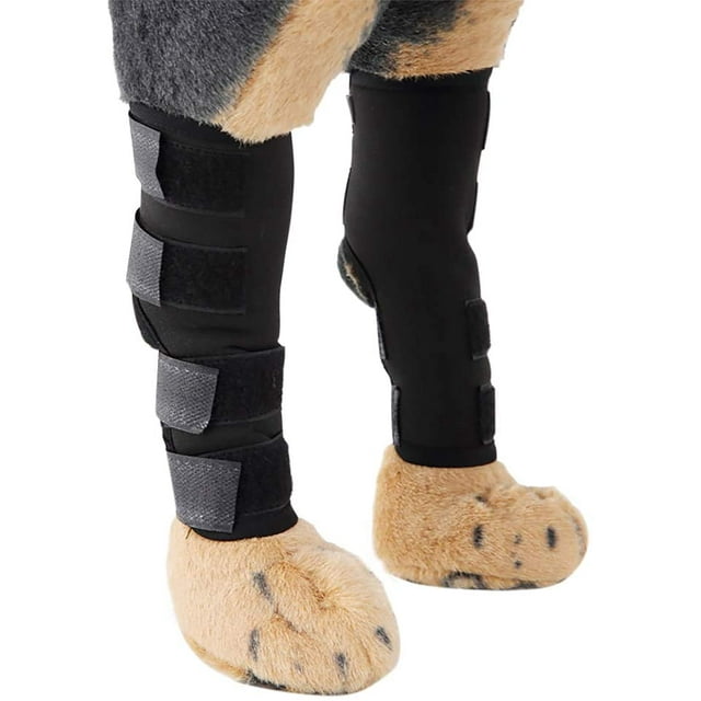 2 Pack Comfortable Dog Legs Braces Canine Rear Hock Joint Support Compression Wraps Pet Front Hind Legs Knee Pad Carpal Splint Dog Elbow Braces Protect Back Legs Wounds Injuries Sprains Arthritis
