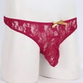 thumbnail image 3 of Mens Underwear Men Lingerie Floral Lace Semi See-through Bikini Briefs T-back Underwear, 3 of 8