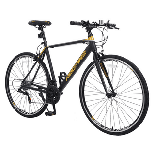 Speed Roadmaster Bike