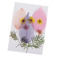 thumbnail image 3 of 10 piezas das reales naturales, flores secas, hojas de para arte, manualidades, álbumes de recortes, resina, joyería, fabricació Baoblaze Artesanía de hojas secas prensadas DIY, 3 of 8