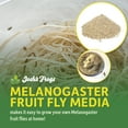 thumbnail image 2 of Melanogaster Fruit Fly Media 3 lbs / 2.7 Quarts (makes 20 fruit fly cultures), 2 of 6